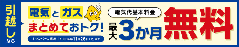 まとめておトク！最大3か月無料