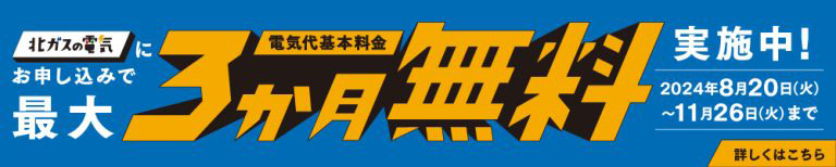 電気代基本料金最大3か月無料