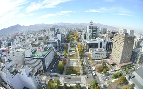 上空から見た札幌の街並み